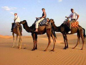 Camel ride in Taghazout
